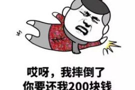 台州为什么选择专业追讨公司来处理您的债务纠纷？